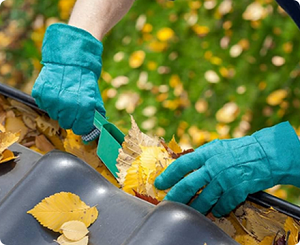 Gutter Cleaners