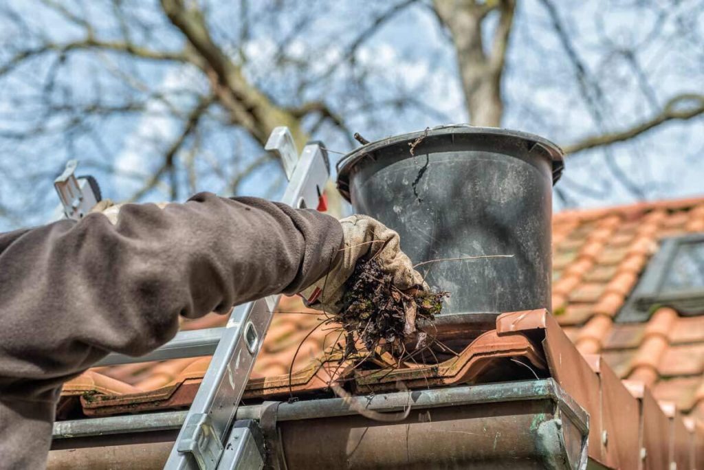 Gutter Cleaning Services