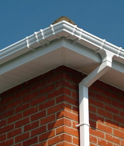 Gutter Cleaning