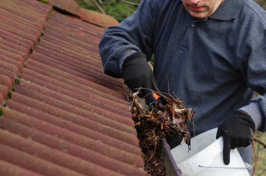 Gutter Cleaning Services