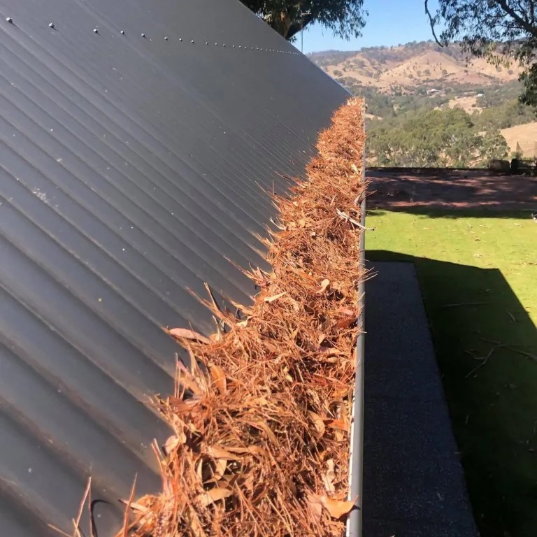Gutter Cleaning Services
