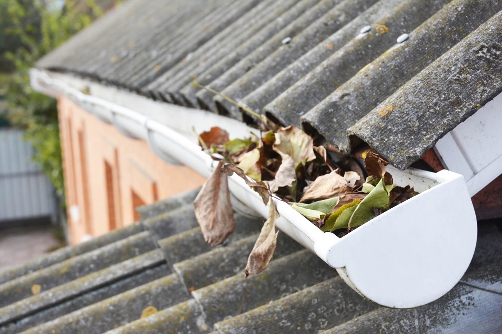 Gutter Cleaning Services