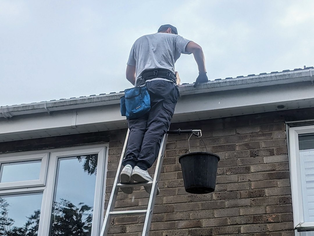 Gutter Cleaning Services