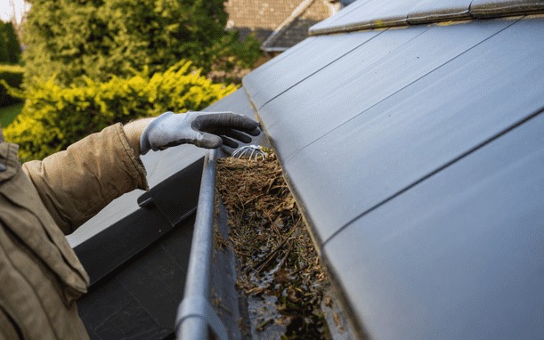 Gutter Cleaning Services