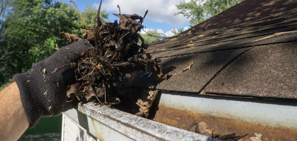 Gutter Cleaning Services