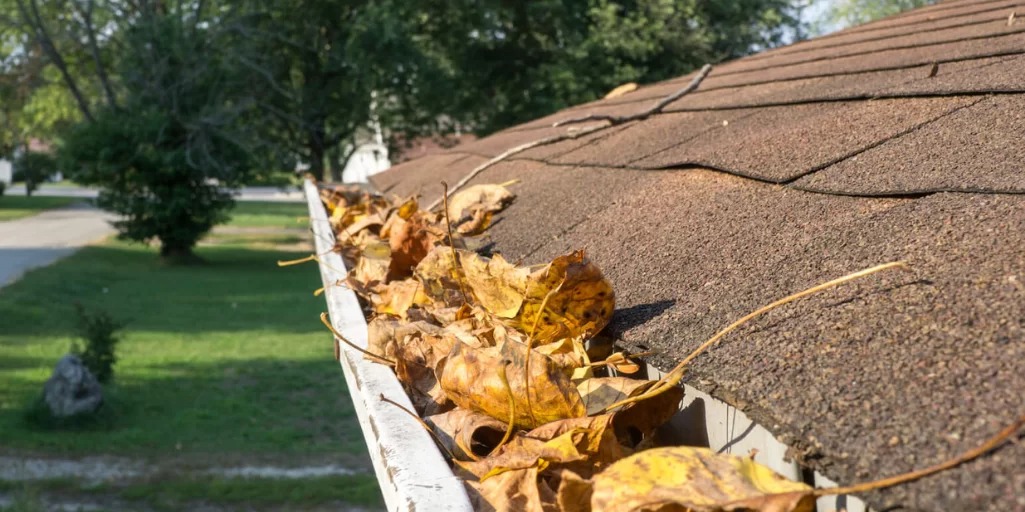 Gutter Cleaning Services