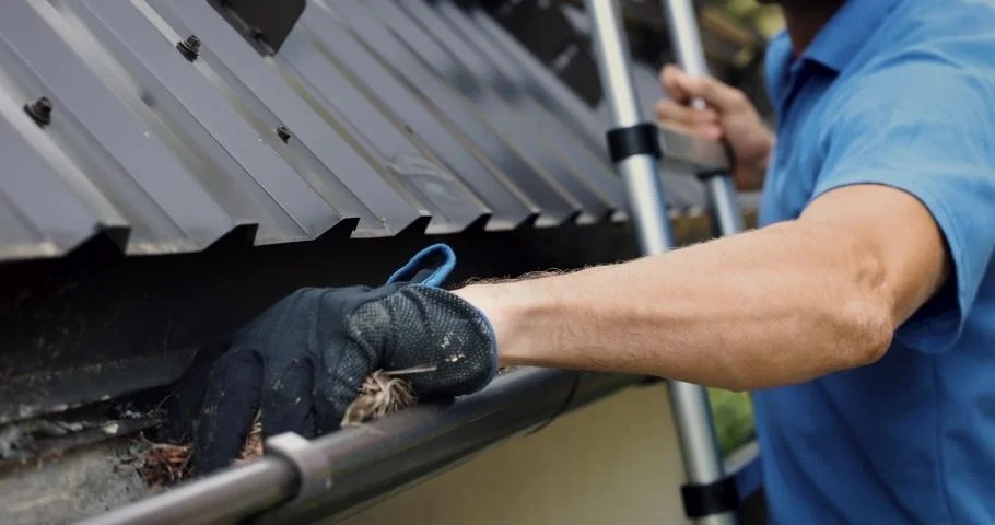 Gutter Cleaning Services