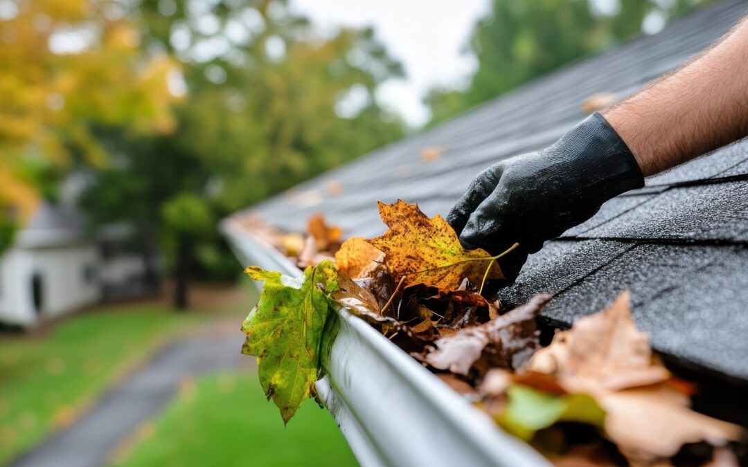 Gutter Cleaning