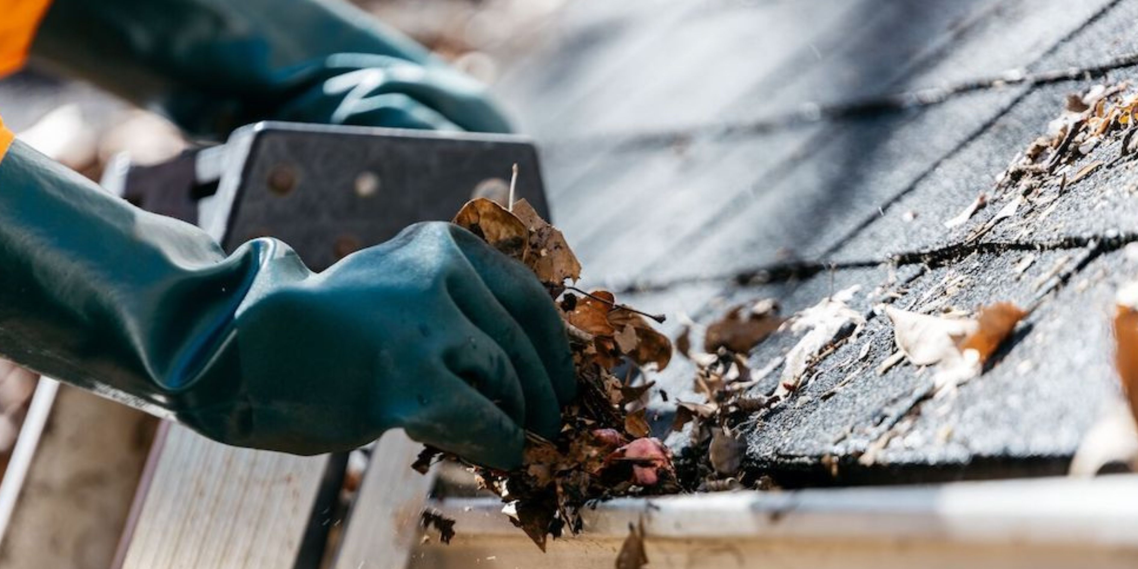 gutter cleaning bexley