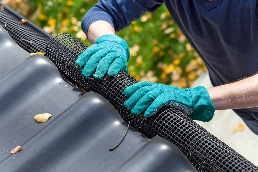 Gutter Cleaning Services