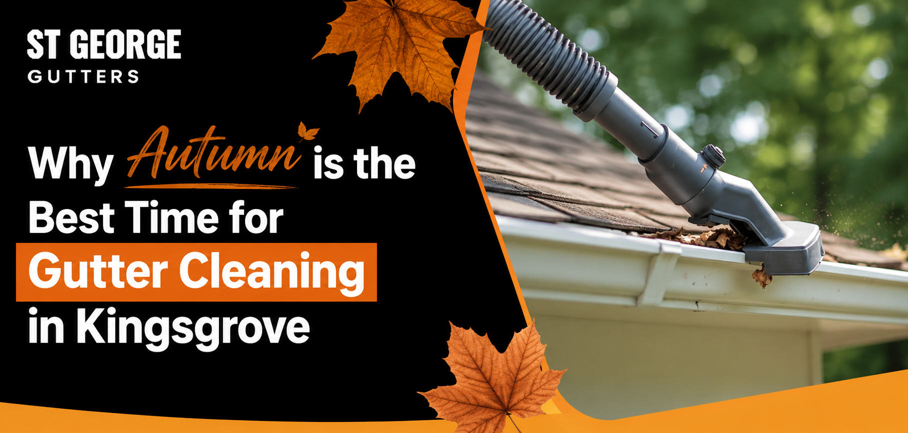 Gutter Cleaning