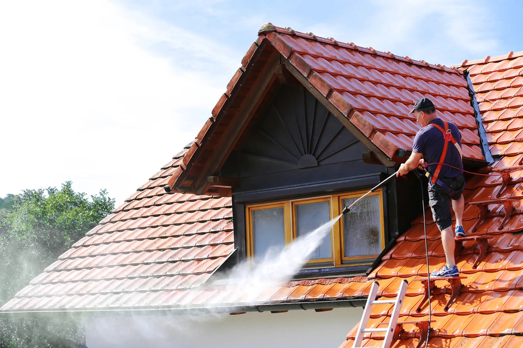 Gutter Cleaning