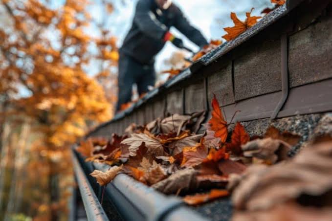 Gutter Cleaners