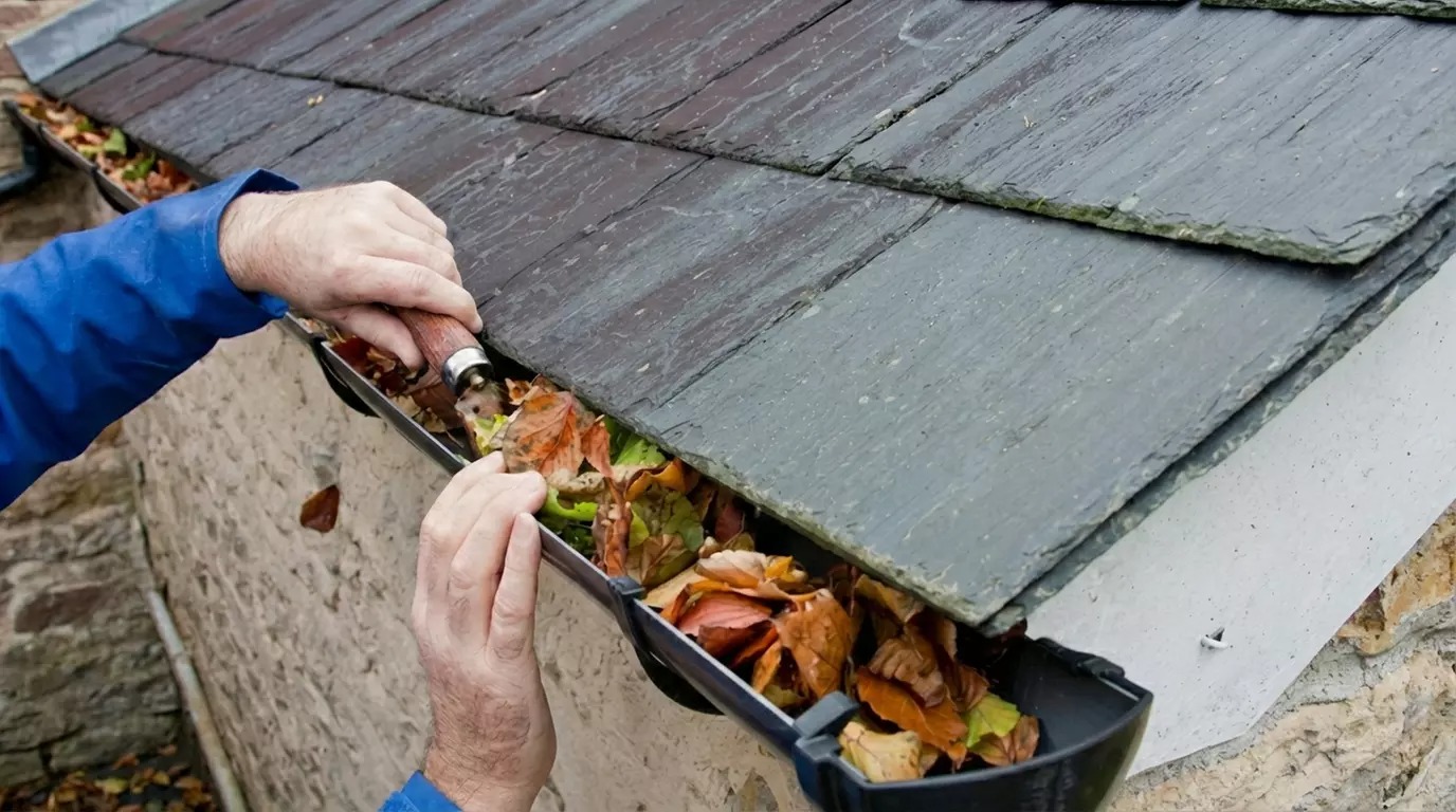 Gutter Cleaning
