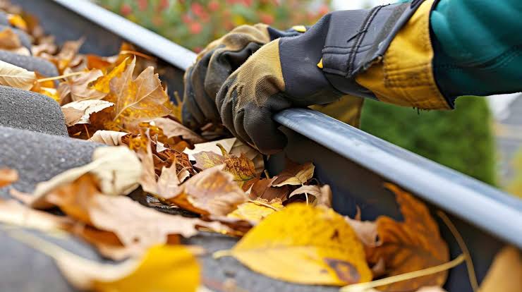 Gutter Cleaning